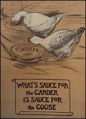 Mary Sargant Florence, What's Source for the Gander is Sauce for the Goose (1908)