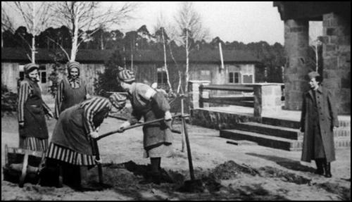 Jewish Children in the Nazi Classroom