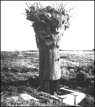 British fake tree used by snipers and spies.