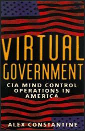 Virtual Government