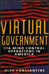 Virtual Government