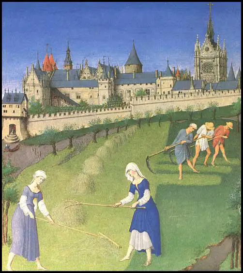 Farm workers using rakes, forks and scythes (Duke du Berry, Books of Hours, c. 1410)