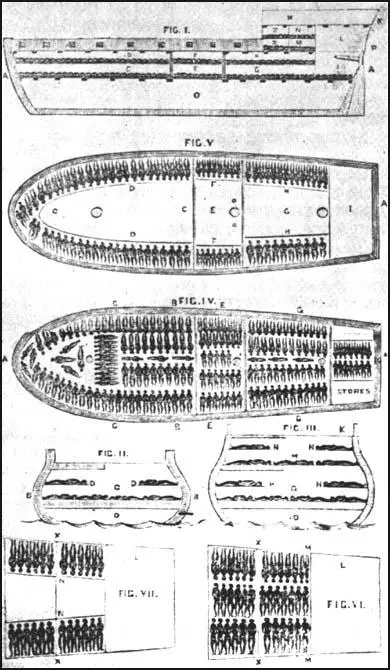 The slave-ship Brookes (1788)