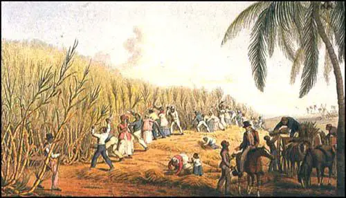 A sugar plantation in 1823