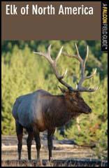 Elk of North America