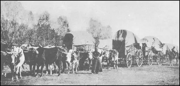 A photograph of an early wagon train.