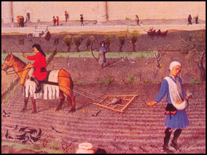 Farming in the Middle Ages